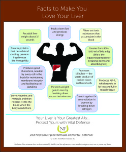 facts to make you love your liver infographic