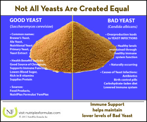 not all yeasts are created equal
