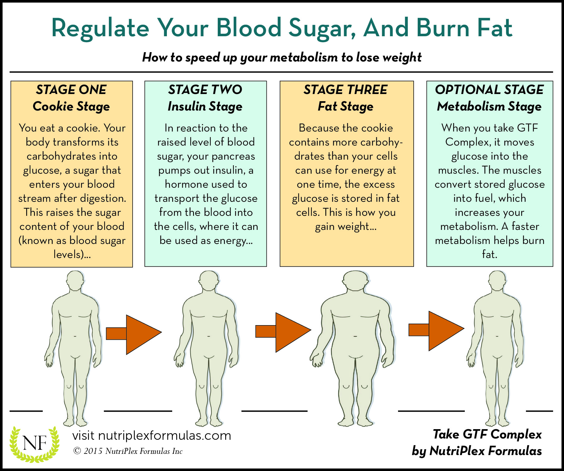 Regulate Your Blood Sugar Infographic 